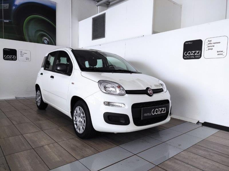 FIAT Panda 3ª serie Panda 1.0 FireFly S&S Hybrid Icon - Cozzi