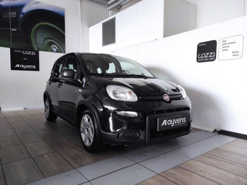 FIAT Panda 3ª serie Panda 1.0 FireFly S&S Hybrid - Cozzi