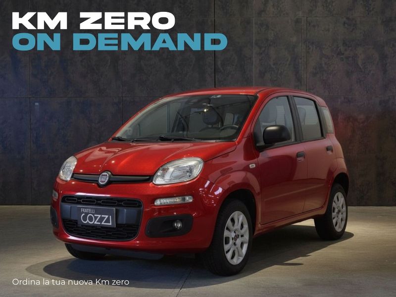 FIAT Panda 3ª serie Panda 1.0 FireFly S&S Hybrid Icon - Cozzi