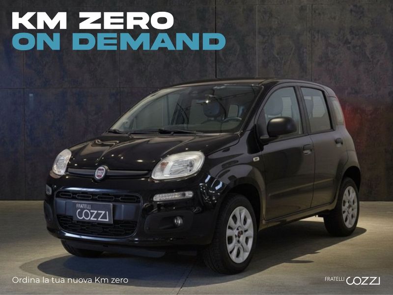FIAT Panda 3ª serie Panda 1.0 FireFly S&S Hybrid Icon - Cozzi