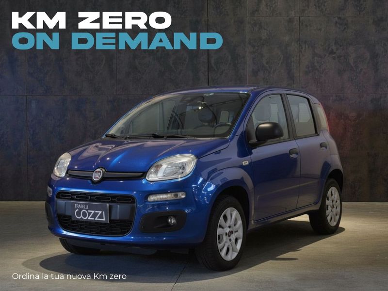 FIAT Panda 3ª serie Panda 1.0 FireFly S&S Hybrid Icon - Cozzi